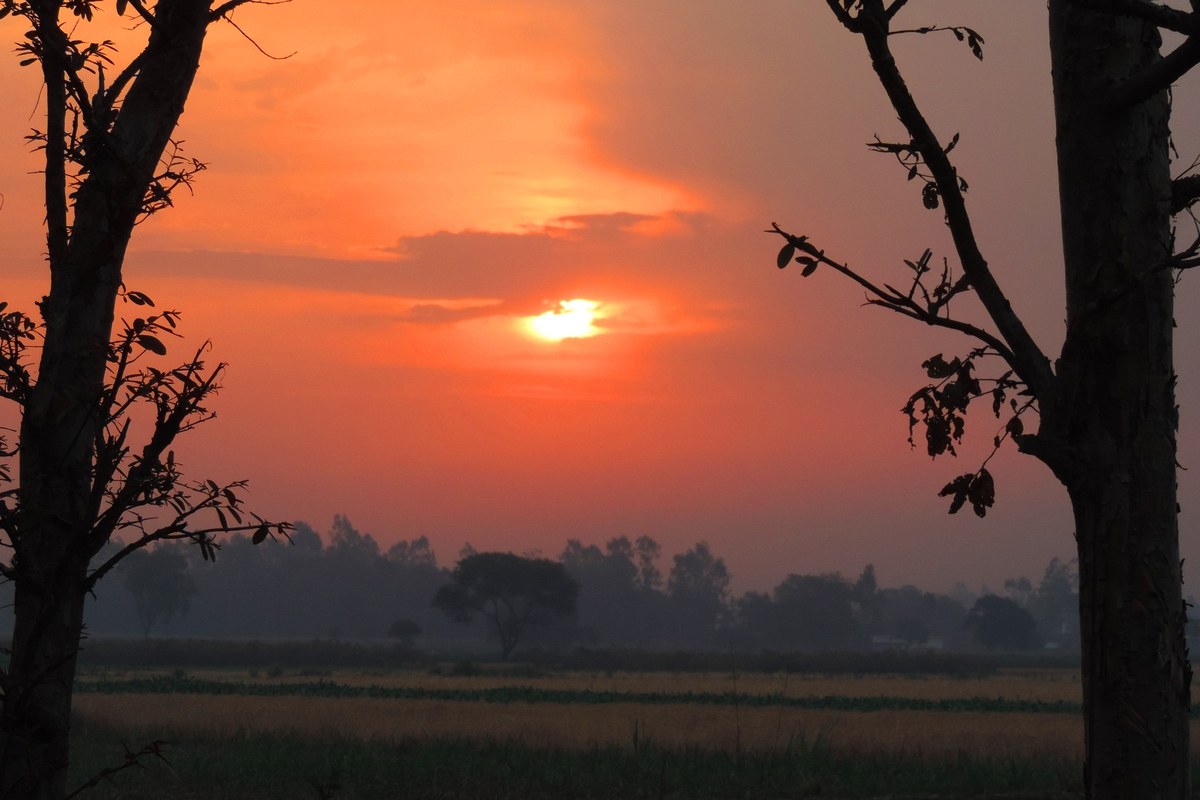 Terai morning light